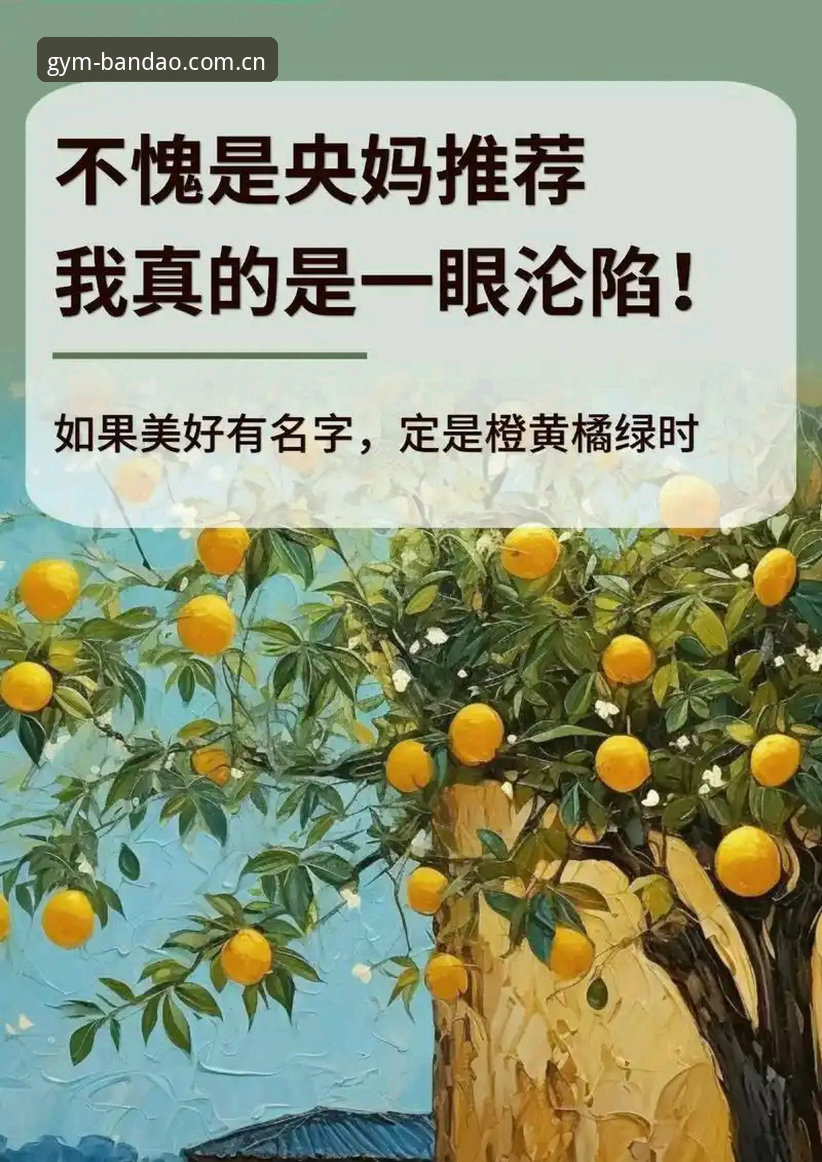 半岛综合平台APP每天点开第一页深测：从手忙脚乱到一眼定胜负，DailyTip收藏功能值得升级吗？
